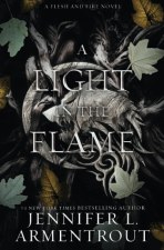 Flesh And Fire Series Book 2 A Light In The Flame
