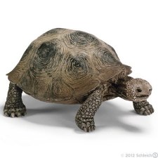 Schleich Giant Tortoise 14824