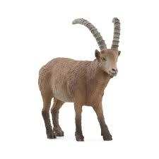 Schleich Ibex 14873