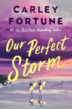 Our Perfect Storm Carley Fortune