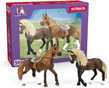 Schleich Horse Club Paso Peruano Starter Set 42738