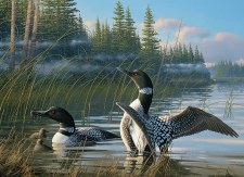 Cobble Hill 1000pc Common Loons