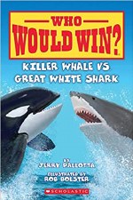 Who Would Win Killer Whale Vs Great White Shark