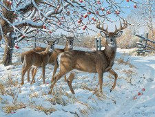 Cobble Hill 500pc Winter Deer