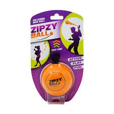 Zipzy Ball Active Play Fun
