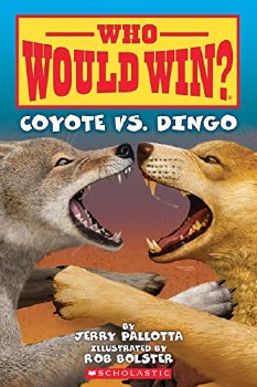 Who Would Win Coyote Vs Dingo