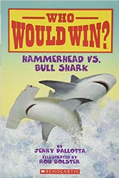 Who Would Win Hammerhead Vs Bull Shark