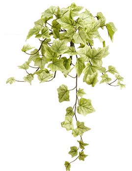 Ivy Hanging Bush, 22&quot;- Green/Cream