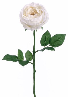 Cabbage Rose Spray, 23&quot;- White