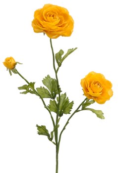 Ranunculus Spray, 27&quot;- Yellow