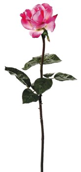 Caroline Rose Spray, 27&quot;- Beauty