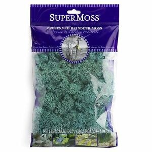 SuperMoss Reindeer Moss, 2oz- Azul
