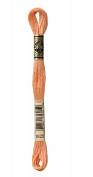 3825 DMC Embroidery Floss - Pale Pumpkin