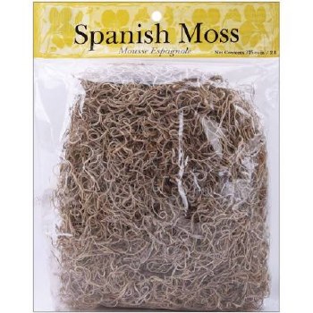 Spanish Moss, 4oz