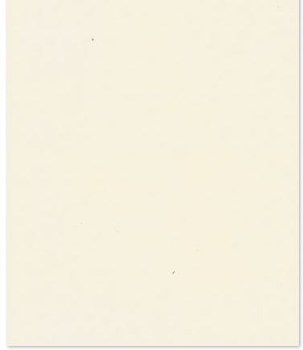 8.5x11 White Smooth Cardstock - Walnut Cream