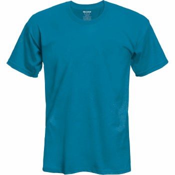 Adult T-Shirt- Sapphire, Small