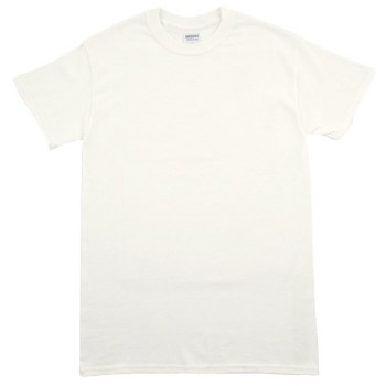 Adult Short Sleeve T Shirt- White, Small
