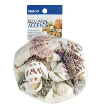 Decorative Seashells, 12oz - Assorted
