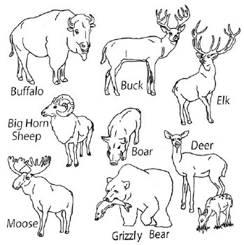 Aunt Martha's Iron On Transfers- Big Game Animals #3969