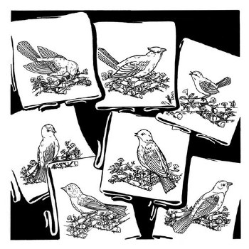 Aunt Martha's Iron On Transfers- Birds Galore #3534