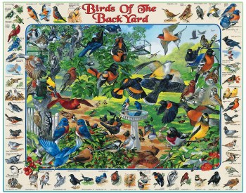 Birds of the Back Yard - 1,000 Piece Puzzle