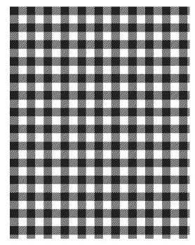 Buffalo Check Bolted Fabric - #199 - White/Black