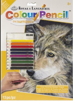 Color Pencil By Number Kit, 8.75&quot;x11.75&quot; - Curious Eyes