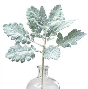 Dusty Miller Spray, 17&quot; - Green