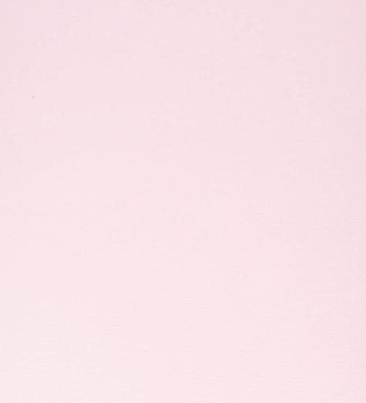 8.5x11 Pink Cardstock- Petalsoft - Crafts Direct