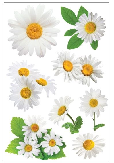 Paper House 3D Stickers Oxeye Daisies