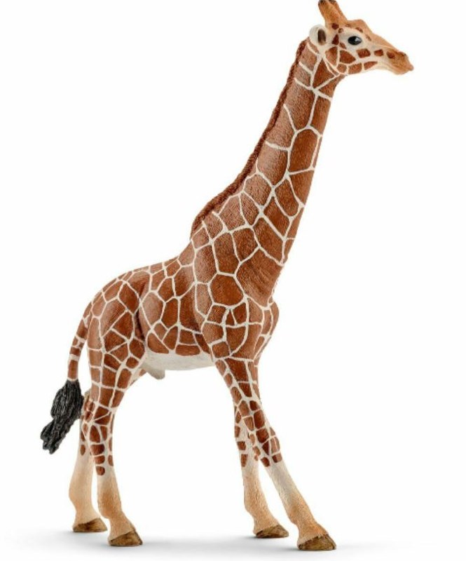 Plastic Figurines Giraffe Crafts Direct