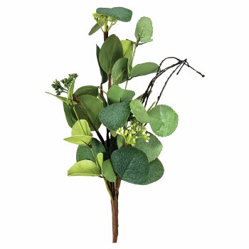 Eucalyptus Bush, 18&quot; - Mixed Seeded