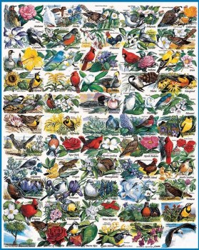 State Birds &amp; Flowers - 1000 piece puzzle
