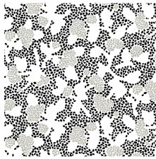 108" Geo Floral  Bolted Fabric - Black/White