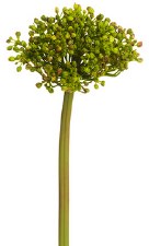 Allium Bud Spray, 12"- Green
