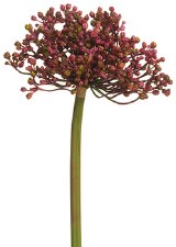 Allium Bud Spray, 12"- Purple
