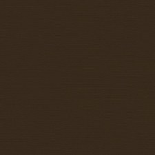 12x12 Brown Cardstock- Brown Eyes