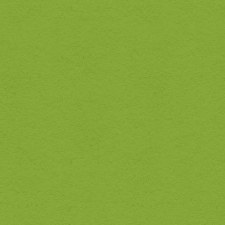 12x12 Green Cardstock- Crisp Green