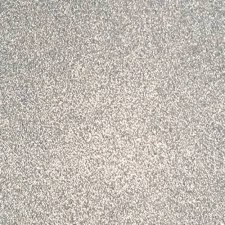 Reminisce 12x12 Glitter Paper- Silver