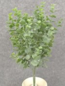 Eucalyptus Pick, 15"- Dusty Green