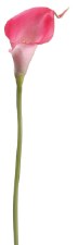 Calla Lily Mini Spray, 15"- Fuchsia