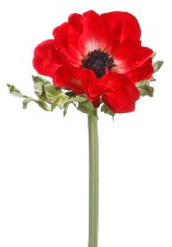 Anemone Spray, 17"- Red