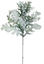 Dusty Miller Spray, 17"