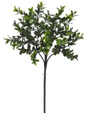 Boxwood Spray, 18.5"