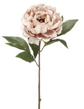Peony Spray, 18.5"- Beige