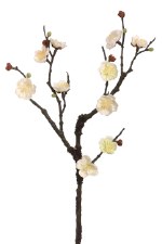 Plum Blossom Spray, 18"- Cream