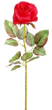 Ecuador Rose Spray, 20.5"- Red