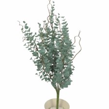 Eucalyptus Bush 20"