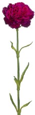 Carnation Spray, 21.5"- Fuchsia