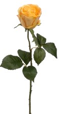 Rose Bud Spray, 22"- Yellow Gold